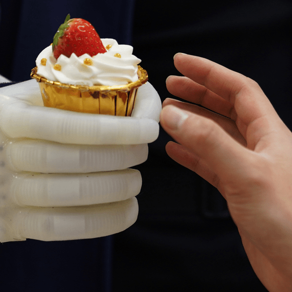 Soft Robotic Prostheses: Exploring Present Trends and Broader&nbsp;Impacts